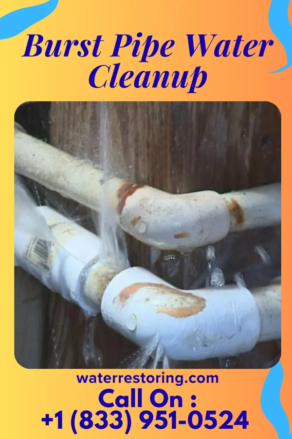 Burst Pipe Water Cleanup in Germantown, OH